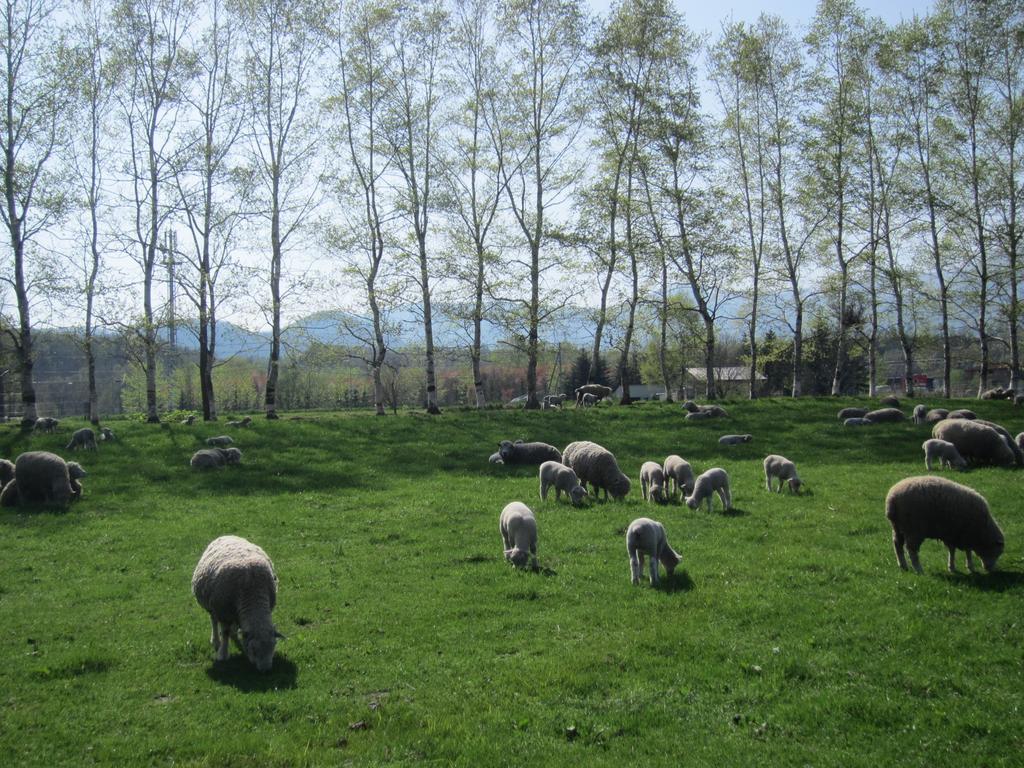 Yorkshire Farm Shintoku Exterior foto