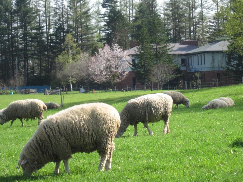 Yorkshire Farm Shintoku Exterior foto