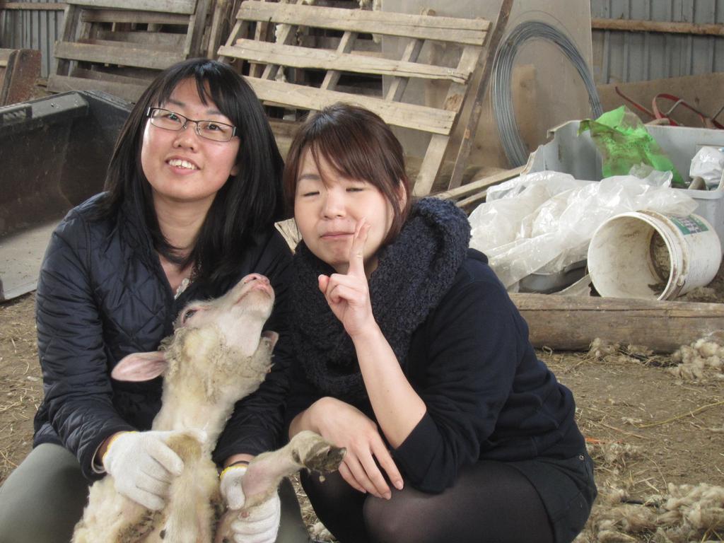 Yorkshire Farm Shintoku Exterior foto