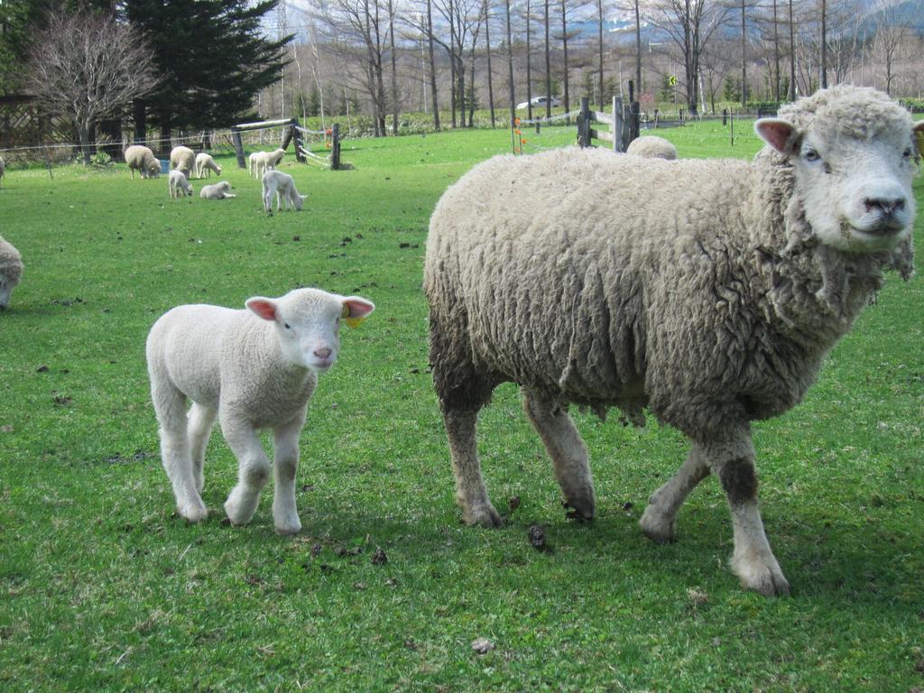 Yorkshire Farm Shintoku Exterior foto