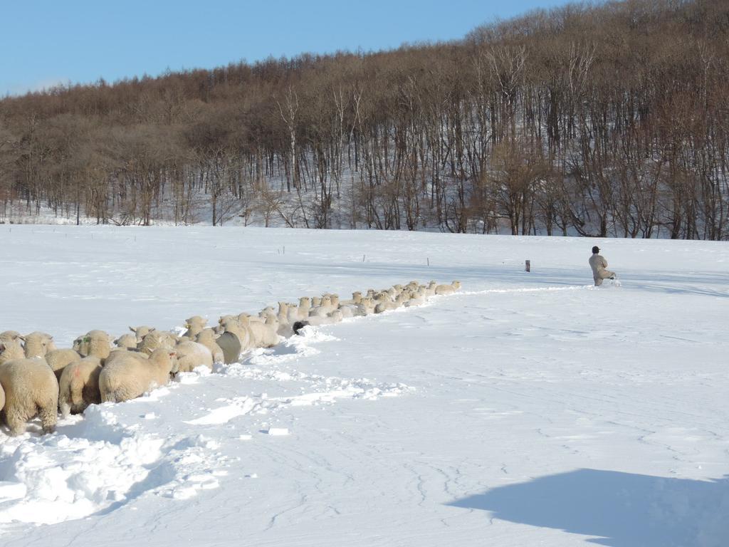 Yorkshire Farm Shintoku Exterior foto
