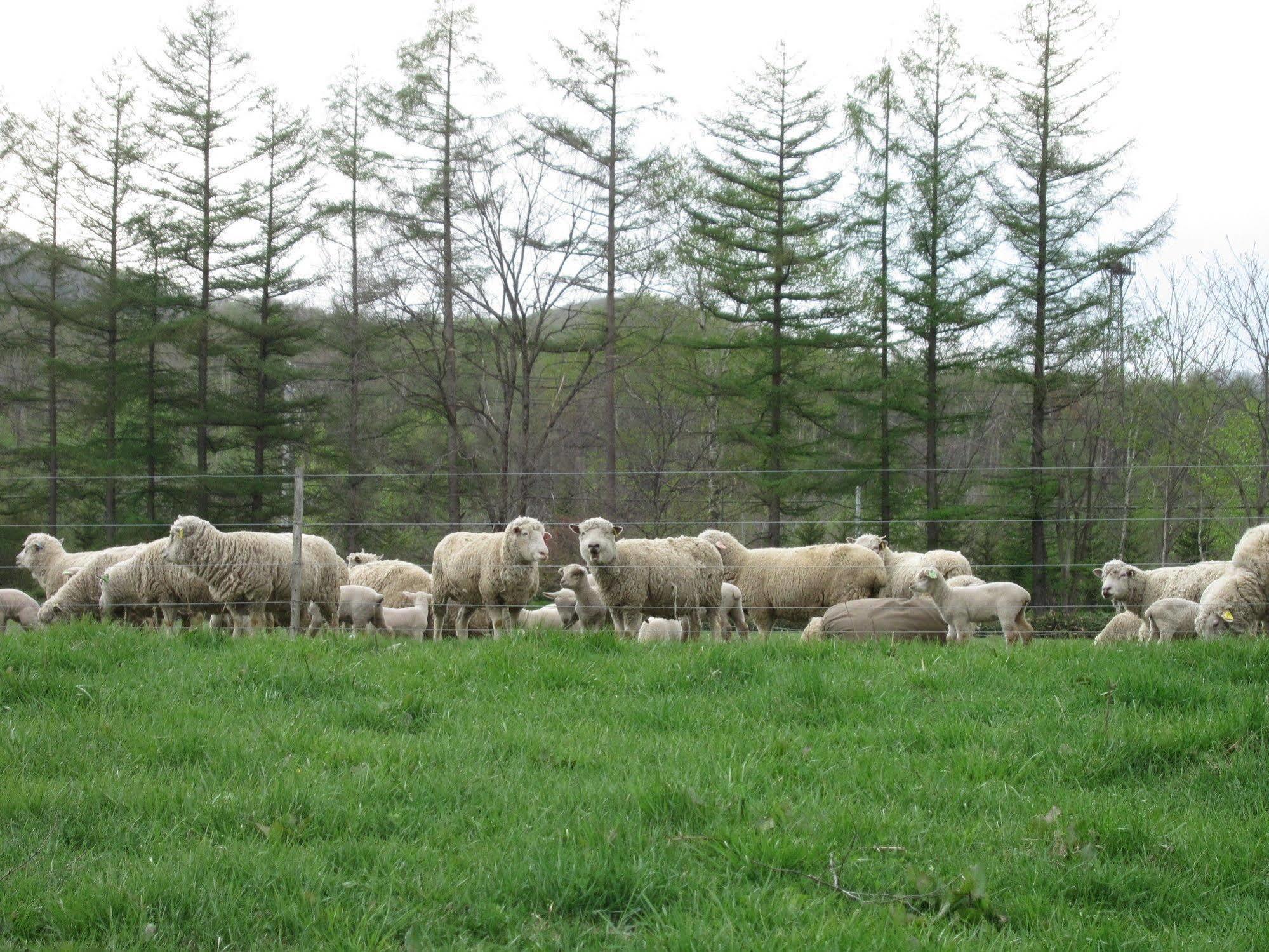 Yorkshire Farm Shintoku Exterior foto